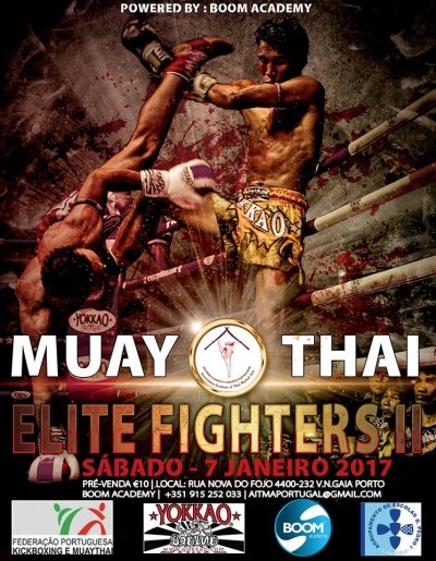 Muaythai: Elite Fighters II