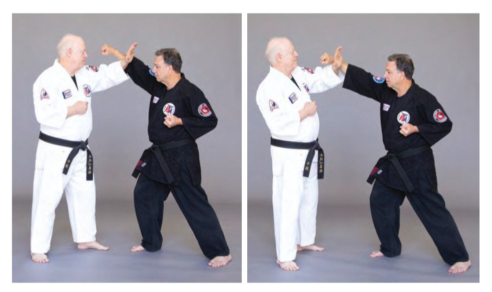 A classificação de técnicas de bloqueio do Budoshin Jujitsu resume a simplicidade